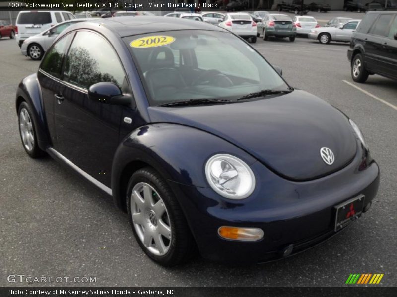 Marlin Blue Pearl / Black 2002 Volkswagen New Beetle GLX 1.8T Coupe