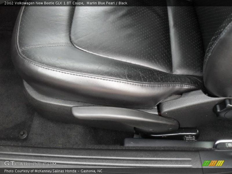Marlin Blue Pearl / Black 2002 Volkswagen New Beetle GLX 1.8T Coupe