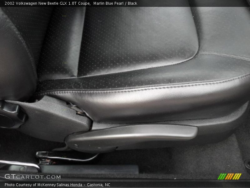 Marlin Blue Pearl / Black 2002 Volkswagen New Beetle GLX 1.8T Coupe