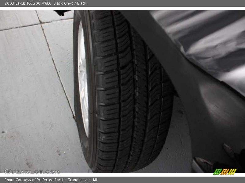 Black Onyx / Black 2003 Lexus RX 300 AWD
