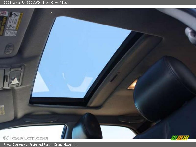 Black Onyx / Black 2003 Lexus RX 300 AWD