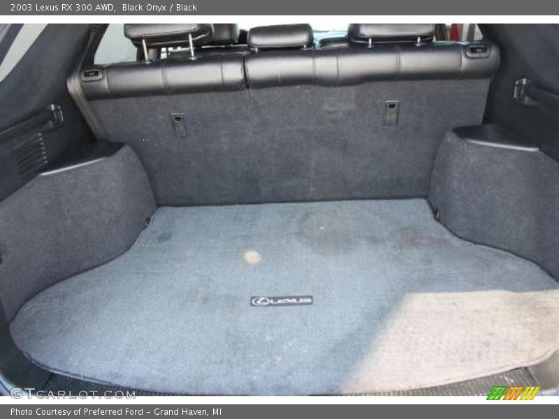Black Onyx / Black 2003 Lexus RX 300 AWD