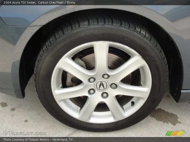 Carbon Gray Pearl / Ebony 2004 Acura TSX Sedan