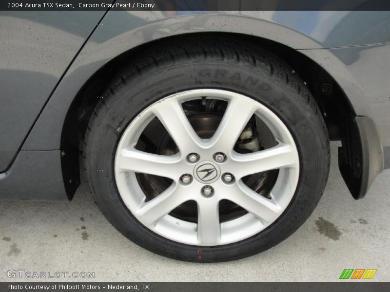 Carbon Gray Pearl / Ebony 2004 Acura TSX Sedan