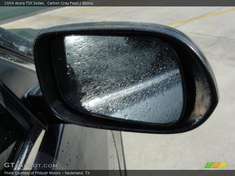 Carbon Gray Pearl / Ebony 2004 Acura TSX Sedan