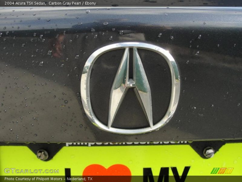 Carbon Gray Pearl / Ebony 2004 Acura TSX Sedan