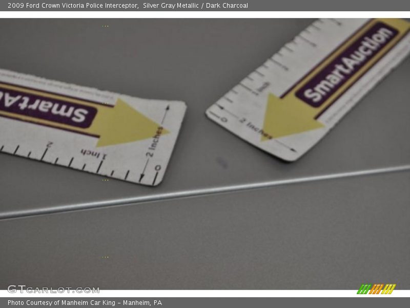Silver Gray Metallic / Dark Charcoal 2009 Ford Crown Victoria Police Interceptor