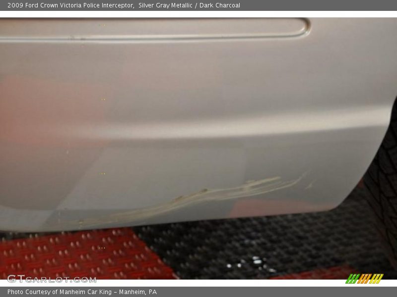 Silver Gray Metallic / Dark Charcoal 2009 Ford Crown Victoria Police Interceptor