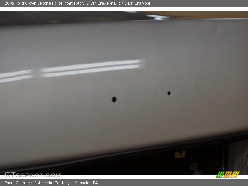Silver Gray Metallic / Dark Charcoal 2009 Ford Crown Victoria Police Interceptor