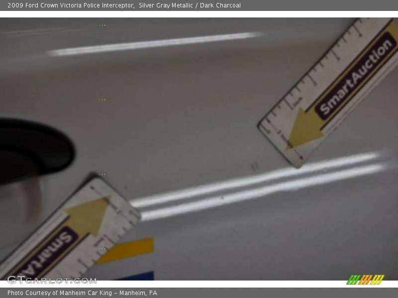 Silver Gray Metallic / Dark Charcoal 2009 Ford Crown Victoria Police Interceptor