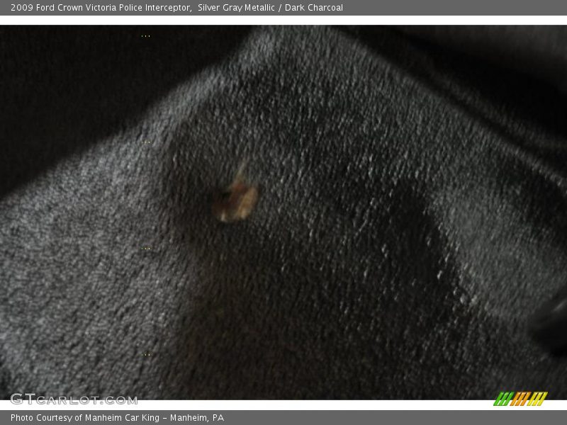 Silver Gray Metallic / Dark Charcoal 2009 Ford Crown Victoria Police Interceptor