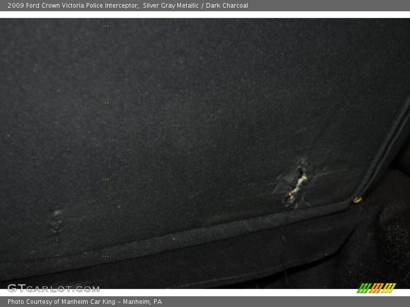 Silver Gray Metallic / Dark Charcoal 2009 Ford Crown Victoria Police Interceptor