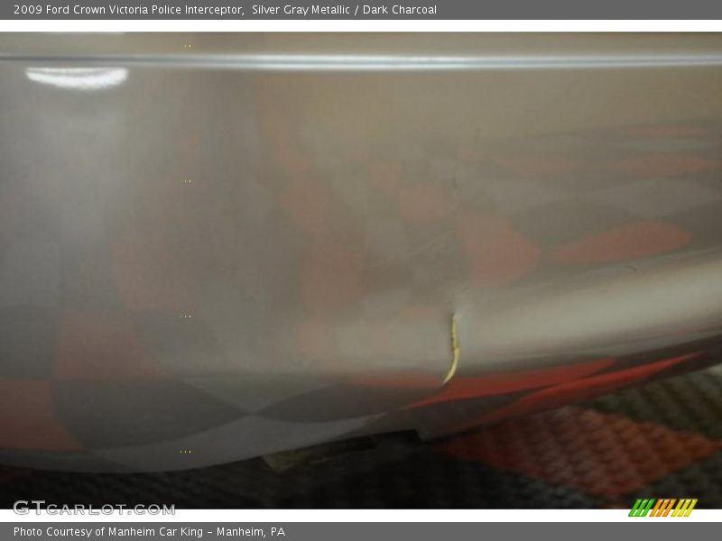 Silver Gray Metallic / Dark Charcoal 2009 Ford Crown Victoria Police Interceptor