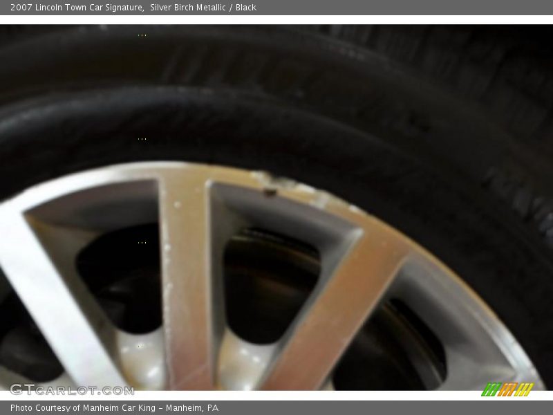 Silver Birch Metallic / Black 2007 Lincoln Town Car Signature