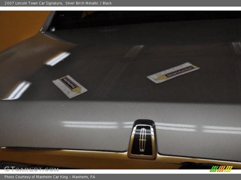 Silver Birch Metallic / Black 2007 Lincoln Town Car Signature
