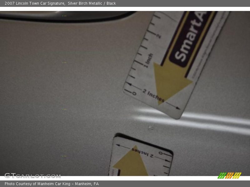 Silver Birch Metallic / Black 2007 Lincoln Town Car Signature