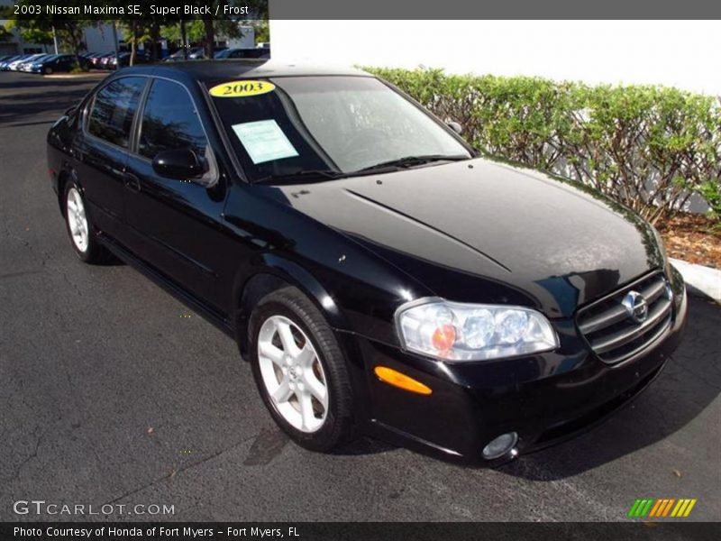 Super Black / Frost 2003 Nissan Maxima SE
