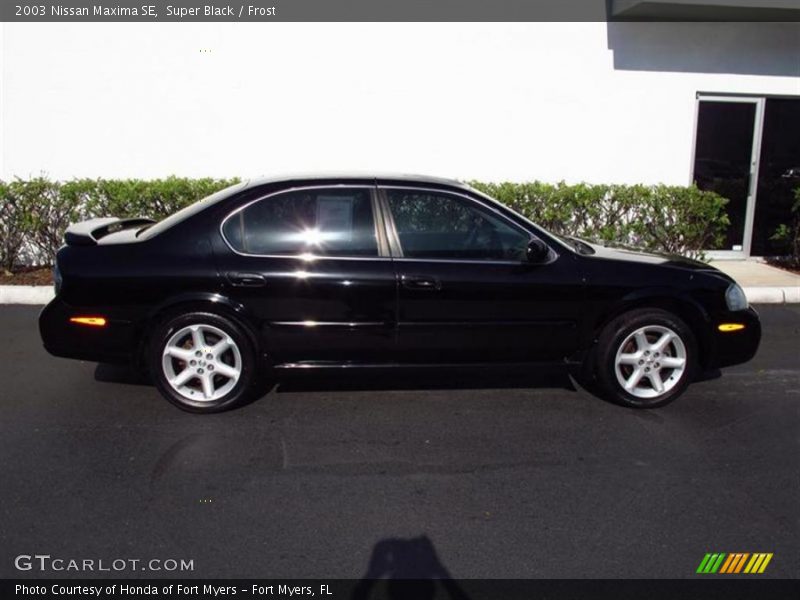 Super Black / Frost 2003 Nissan Maxima SE