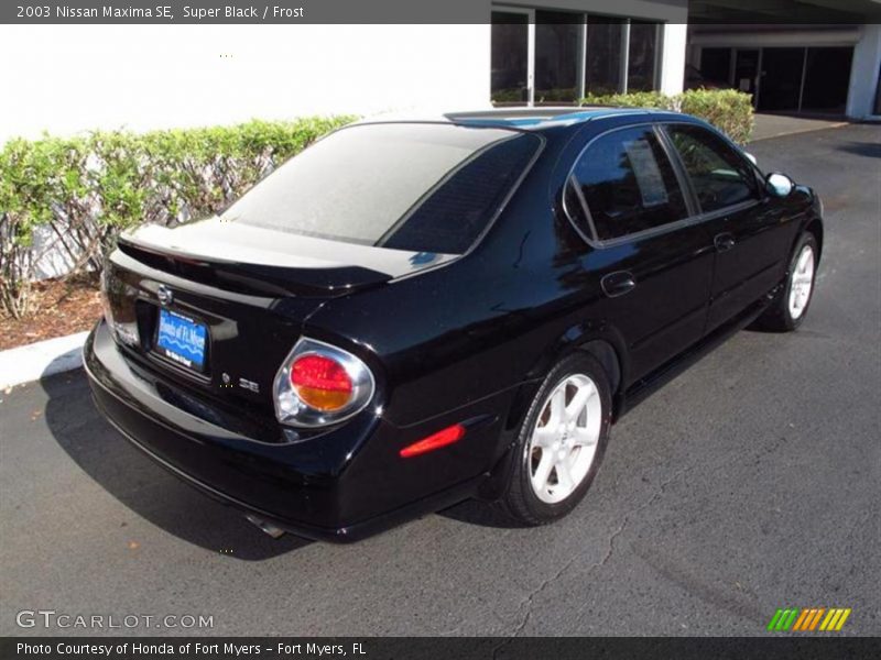 Super Black / Frost 2003 Nissan Maxima SE