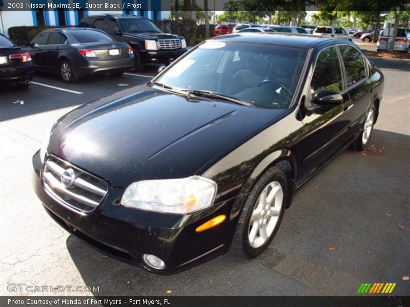 Super Black / Frost 2003 Nissan Maxima SE