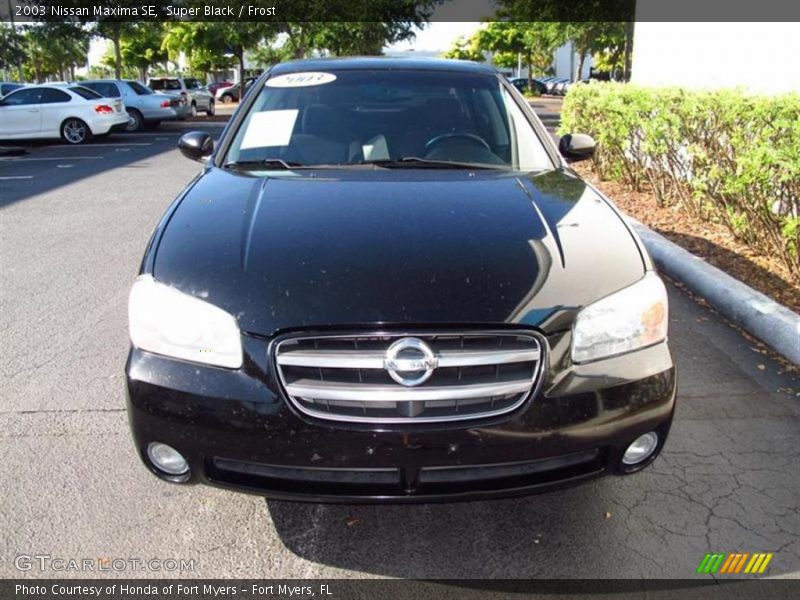 Super Black / Frost 2003 Nissan Maxima SE