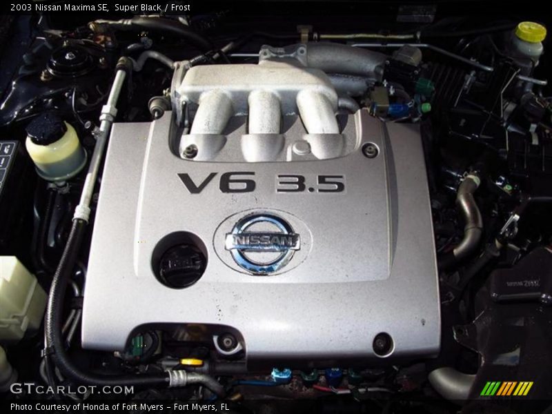 Super Black / Frost 2003 Nissan Maxima SE