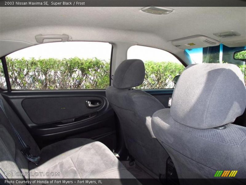 Super Black / Frost 2003 Nissan Maxima SE