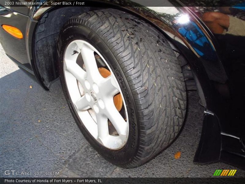Super Black / Frost 2003 Nissan Maxima SE