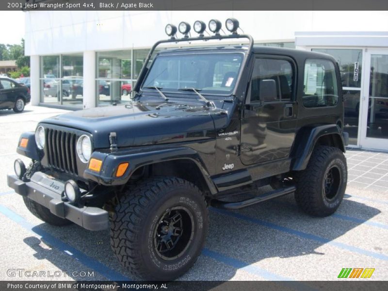 Black / Agate Black 2001 Jeep Wrangler Sport 4x4