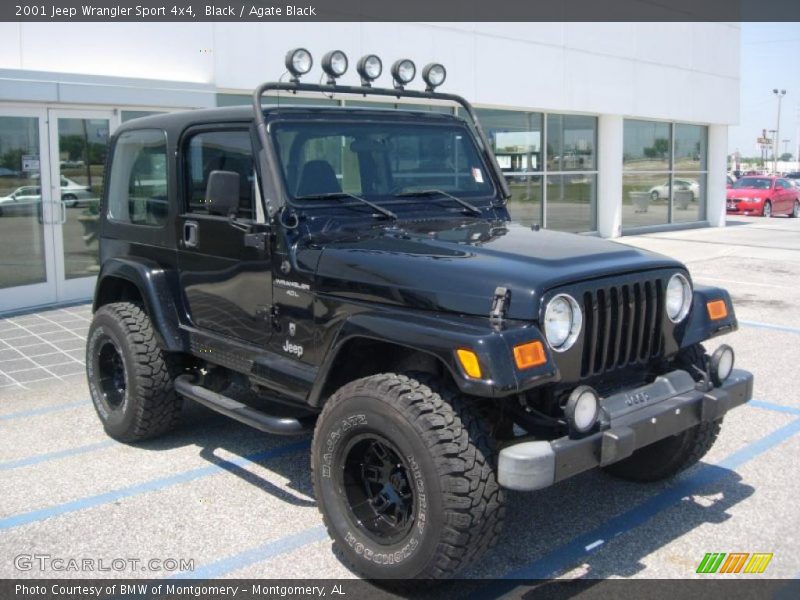 Black / Agate Black 2001 Jeep Wrangler Sport 4x4
