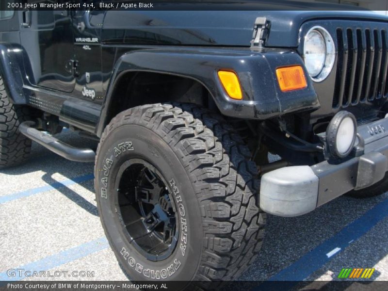 Black / Agate Black 2001 Jeep Wrangler Sport 4x4