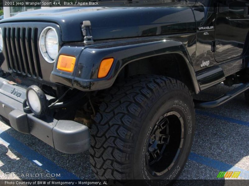 Black / Agate Black 2001 Jeep Wrangler Sport 4x4