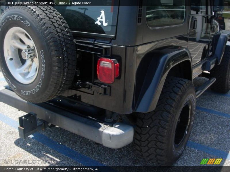 Black / Agate Black 2001 Jeep Wrangler Sport 4x4