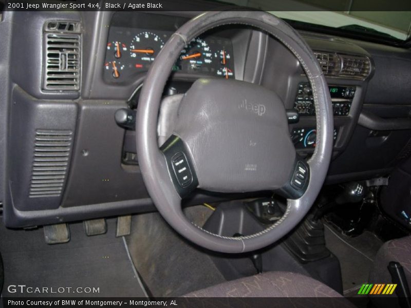 Black / Agate Black 2001 Jeep Wrangler Sport 4x4