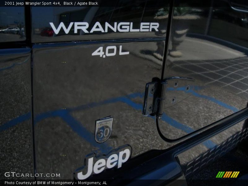 Black / Agate Black 2001 Jeep Wrangler Sport 4x4