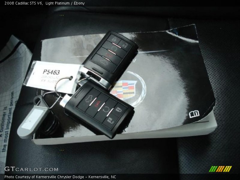 Light Platinum / Ebony 2008 Cadillac STS V6