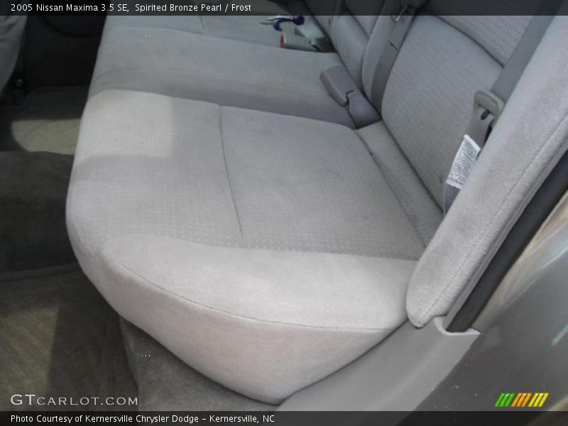 Spirited Bronze Pearl / Frost 2005 Nissan Maxima 3.5 SE
