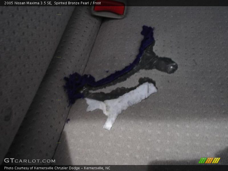 Spirited Bronze Pearl / Frost 2005 Nissan Maxima 3.5 SE