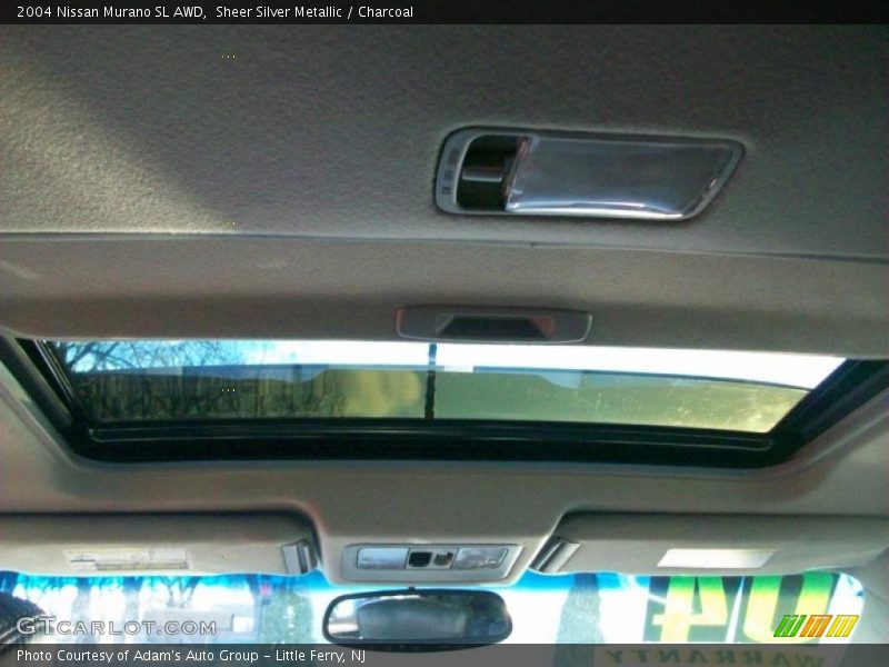 Sheer Silver Metallic / Charcoal 2004 Nissan Murano SL AWD