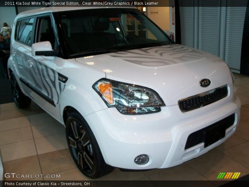 Clear White/Grey Graphics / Black Leather 2011 Kia Soul White Tiger Special Edition