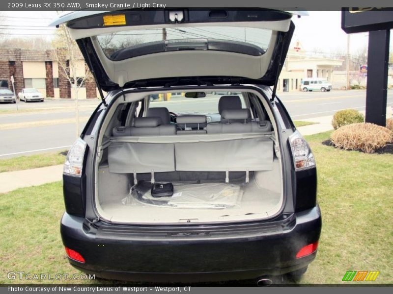 Smokey Granite / Light Gray 2009 Lexus RX 350 AWD