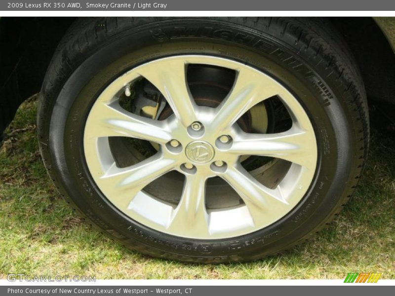Smokey Granite / Light Gray 2009 Lexus RX 350 AWD