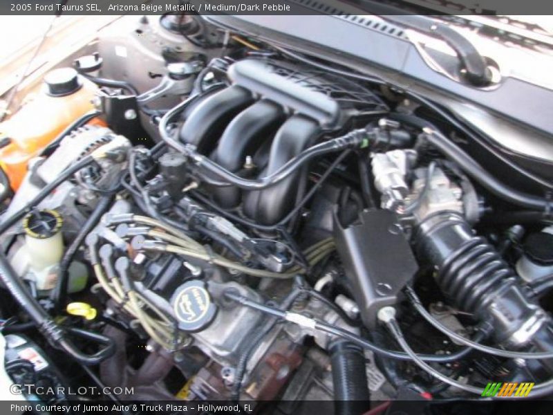 Arizona Beige Metallic / Medium/Dark Pebble 2005 Ford Taurus SEL