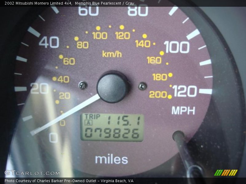 Memphis Blue Pearlescent / Gray 2002 Mitsubishi Montero Limited 4x4