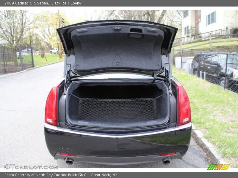 Black Ice / Ebony 2009 Cadillac CTS Sedan