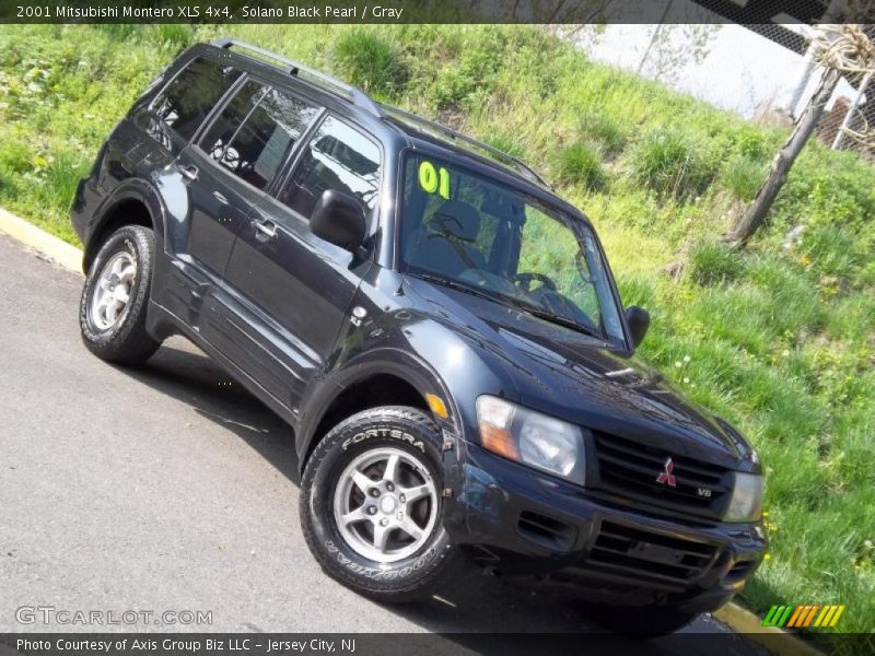 Solano Black Pearl / Gray 2001 Mitsubishi Montero XLS 4x4