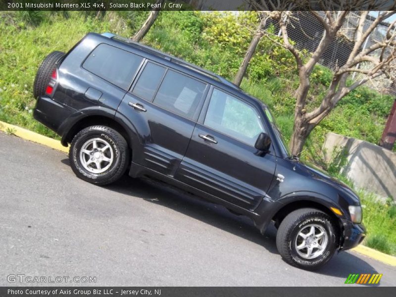 Solano Black Pearl / Gray 2001 Mitsubishi Montero XLS 4x4