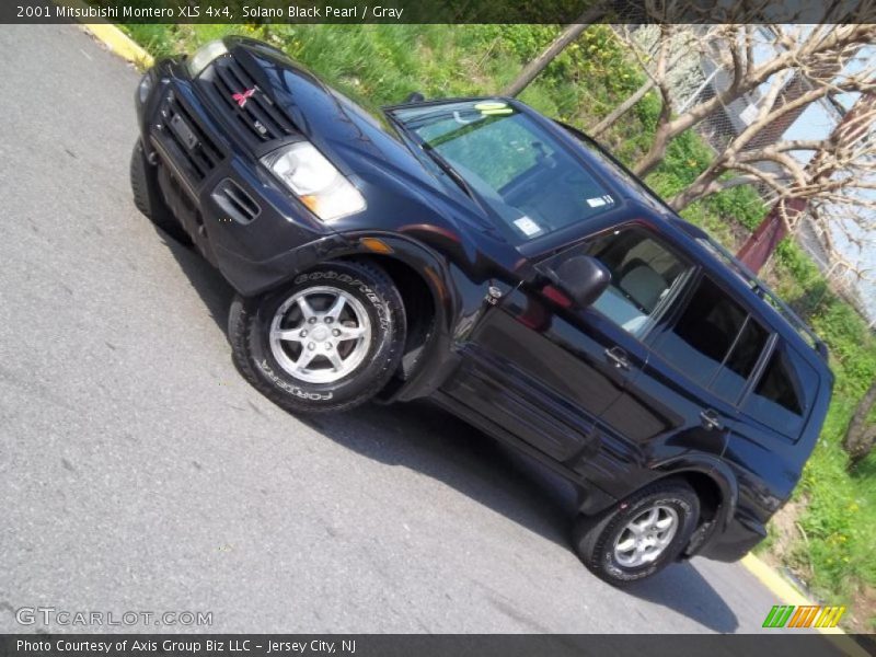 Solano Black Pearl / Gray 2001 Mitsubishi Montero XLS 4x4