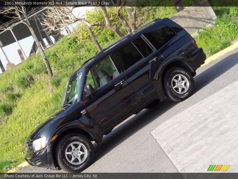 Solano Black Pearl / Gray 2001 Mitsubishi Montero XLS 4x4