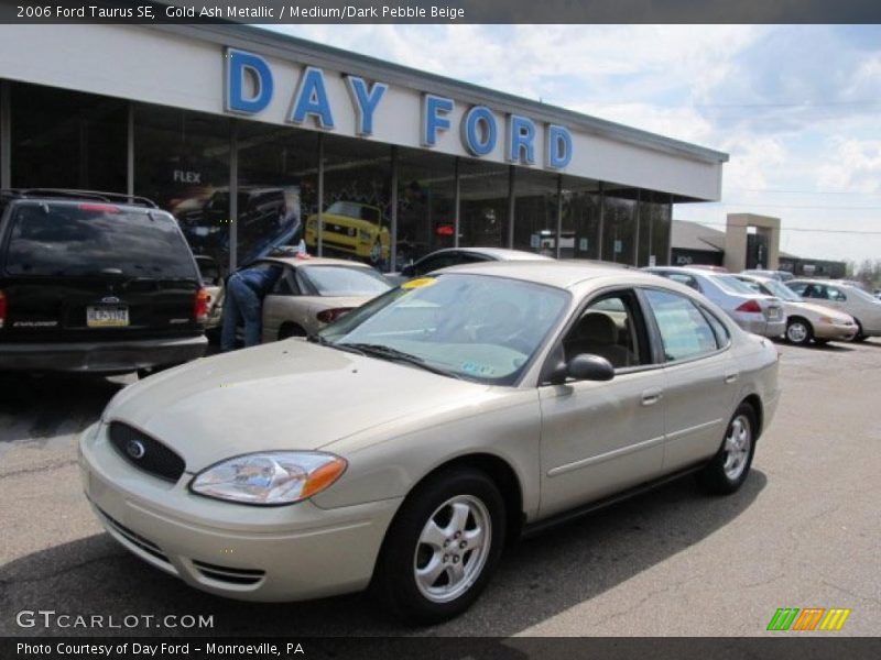 Gold Ash Metallic / Medium/Dark Pebble Beige 2006 Ford Taurus SE